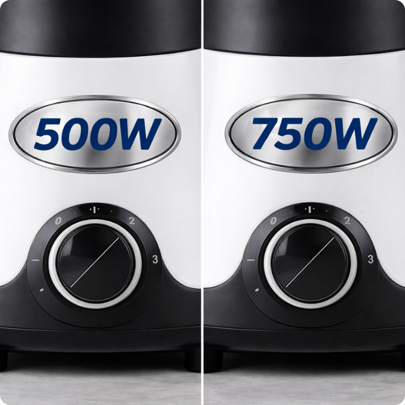 500W and 750W mixer grinder motor power label